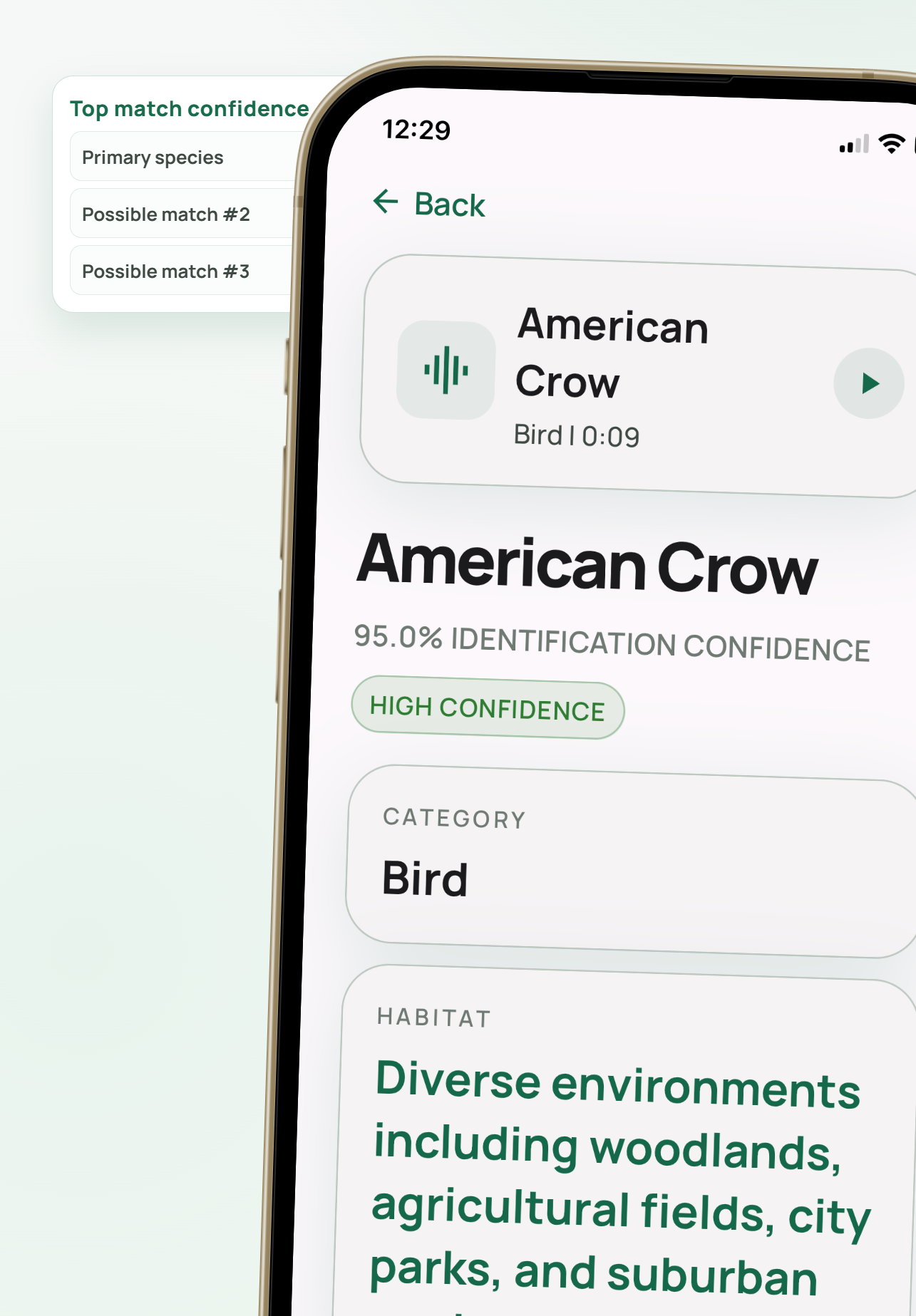 Rawz result screen showing species match with confidence score